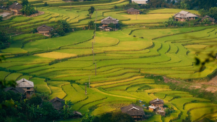 hoang-su-phi-ha-giang